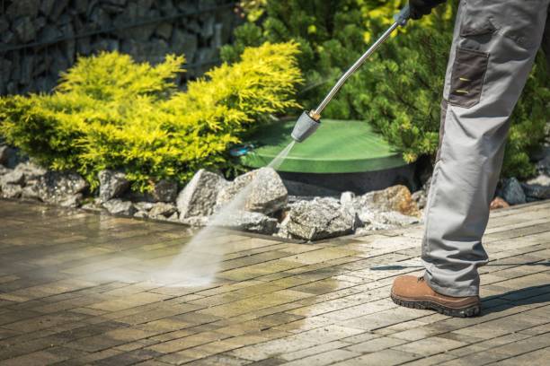 Best Dumpster Area Cleaning  in West View, PA